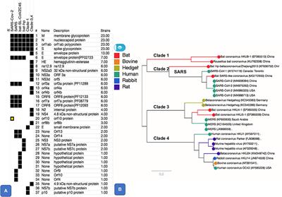 Functional Pangenome Analysis Shows Key Features of E Protein Are Preserved in SARS and SARS-CoV-2